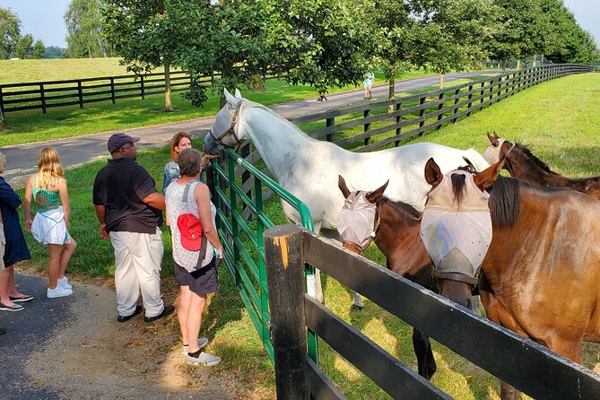 Full-Day Lexington Farm Tour with Clay Pigeon Shooting - Visiting Three Lexington Horse Farms in One Day