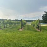 Full-Day Luxury Long Island Private Winery Tour - Comfortable Luxury Transportation with Onboard Entertainment