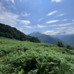 Full Day Mountine Tours from Batumi - Key Points