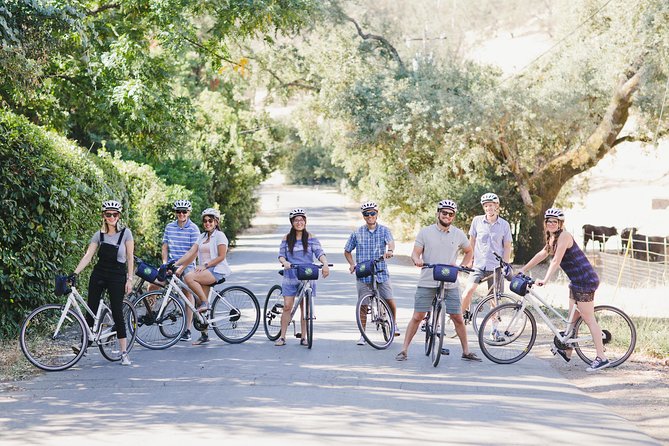Full-Day Napa Valley E-Bike Tour with Picnic Lunch - Riding Through Napa’s Vineyards