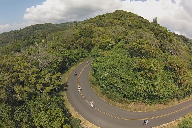 Full Day Oahu Bike, Hike, Sail and Snorkel Combo - Easy and Enjoyable Downhill Bike Ride through Rainforest and Coastal Views