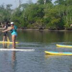 Full-Day Paddle Board Rental in Naples, Florida - Premium Paddle Boards from Bote for Comfortable Rides