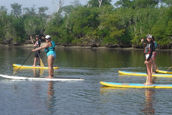 Full-Day Paddle Board Rental in Naples, Florida - Premium Paddle Boards from Bote for Comfortable Rides