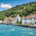 Full-Day Princes Island Tour with Lunch from Istanbul - Exploring Büyükada: The Largest Prince Island
