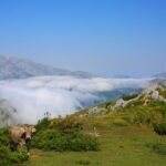 Full Day Private 4WD Tour from Bilbao to Picos de Europa. Fine meals. - Starting the Day with Bilbao’s Iconic Guggenheim Museum