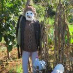 Full Day Private 4x4 Adventure in Madeira - Customizing Your Madeira Adventure