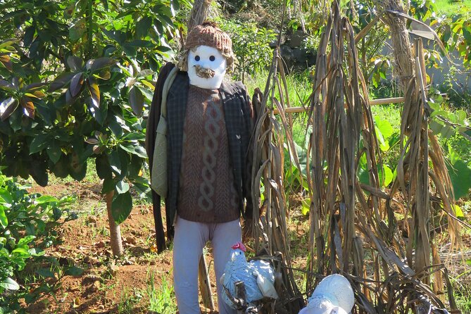 Full Day Private 4x4 Adventure in Madeira - Customizing Your Madeira Adventure