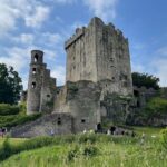 Full day Private Dingle Peninsula and Slea Head Tour from Cork - Dingle Town: Charm and Local Flavors