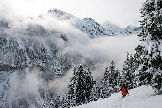 Full Day Private Guided Scenic Train Tour to the Swiss Alps - Exploring the Jungfrau Region: A Mountain Wonderland