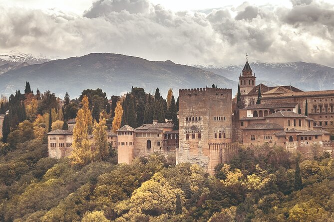 Full-Day Private Guided Tour in Alhambra from Costa del Sol - Visiting the Alhambra with Expert Guidance
