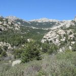 Full-Day Private Guided Tour to Guadarrama National Park - Overall Value and Suitability