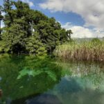 Full-Day Private Lake Ohrid and Albania Tour from Ohrid - Exploring Lake Ohrids Historic Sites: Bay of Bones and St. Naum Monastery