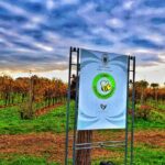 Full day Private Prosecco Tour, with certified Sommelier - Luxury Transportation for a Relaxed Experience