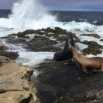 Full Day Private SD Tour from Leucadia - Starting with Coastal Views at Mount Soledad