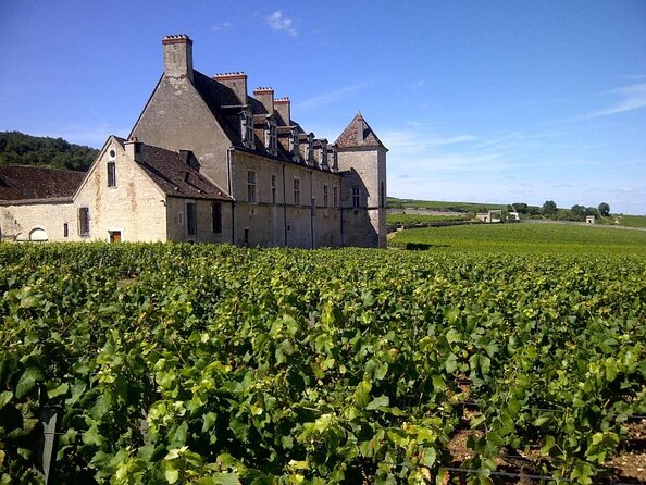 Full-Day Private Tour, 6 Premiers & Grands Crus, The Best of Burgundy - Private Wine Tastings at Three Top Wineries