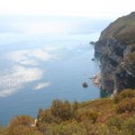 Full Day Private Tour - Arrábida Beaches and Azeitão Wine Region - Visiting the Livramento Market in Setubal