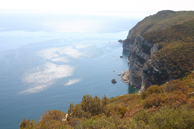 Full Day Private Tour - Arrábida Beaches and Azeitão Wine Region - Visiting the Livramento Market in Setubal