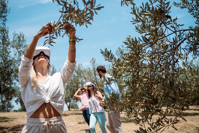 Full-Day Private Tour Corinth and Olive Oil Tasting from Athens - Olive Oil Heritage at Loutra Elenis