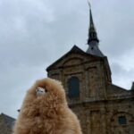 Full-day Private Tour in Mont Saint Michel with Calvados Tasting - Calvados Tasting at Pere Magloire