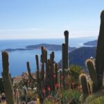 Full-Day Private Tour of Nice, Monaco and Eze Village with private guide - Exploring the Hilltop Village of Eze