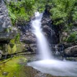 Full Day Private Tour to Khosrov Forest State Reserve - Key Points