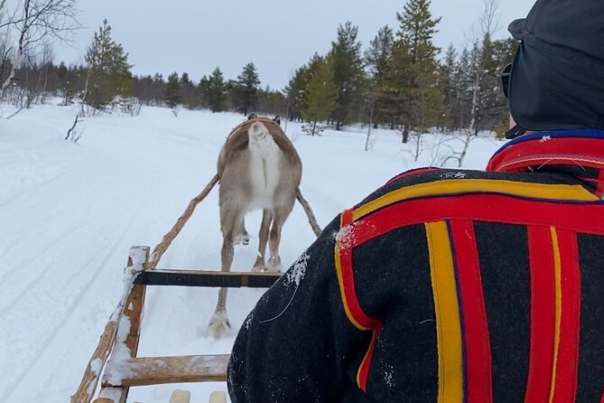 Full-Day Reindeer Tour with Pickup in Kiruna - Key Points