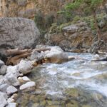 Full Day Samaria Gorge 10-Mile Walking Tour - Highlights of the Gorge and Scenic Views