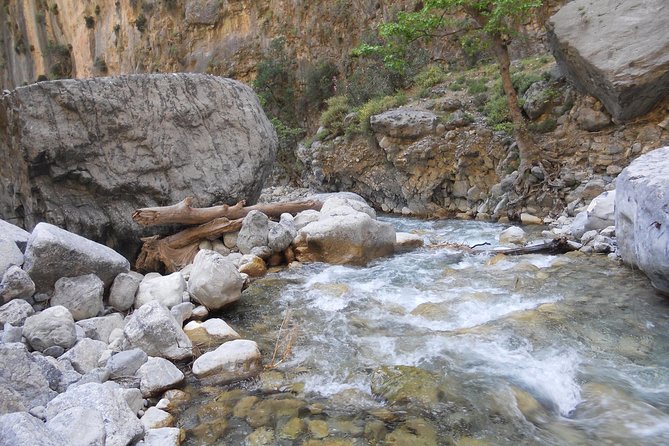 Full Day Samaria Gorge 10-Mile Walking Tour - Highlights of the Gorge and Scenic Views