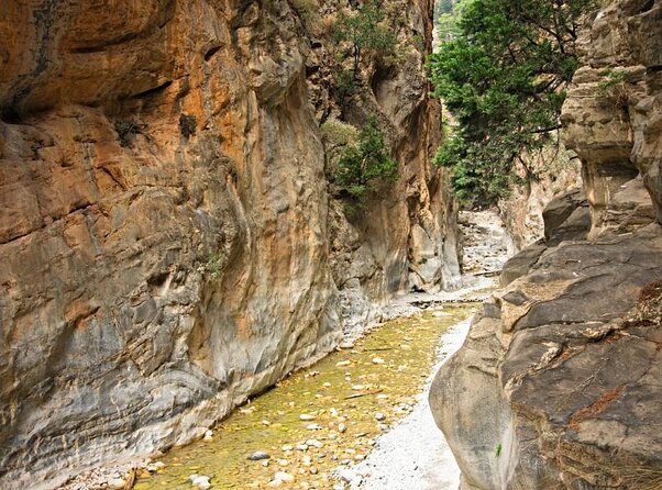 Full-Day Samaria Gorge Chania Guided Tour - Arriving at Xiloskalo: The Starting Point of the Hike