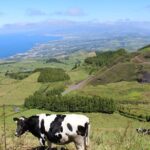 Full Day Sete Cidades and Lagoa do Fogo PRIVATE 4WD Tour with Lunch - The Enchanting Lagoa do Fogo