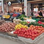 Full Day Shared Guided Tour in Setúbal - São Domingos Viewpoint: First Glimpse of Setúbal