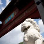 Full-Day small-group Montreal tour with Pickup and a Local Taste - Exploring Mile End and Its Artistic Vibe