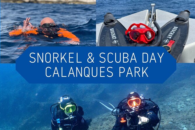 Full-Day Snorkeling and Guided Dive in the Calanques National Park from Marseille - Starting Point and Schedule at Port de la Pointe Rouge