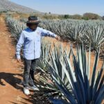 Full-Day Tequila Tour from Guadalajara - Visiting the Agave Fields and Meeting the Jimador