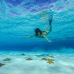 Full-Day Tour Cozumel in Catamaran with Snorkel & Lunch - Starting Your Day at Ultramar Ferry in Playa del Carmen