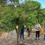 Full Day Tour in Finca Estramancia Vineyard with stop in Chapala - Finca La Estramancia Vineyard: A Taste of Local Winemaking