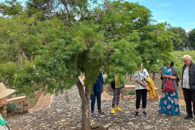 Full Day Tour in Finca Estramancia Vineyard with stop in Chapala - Finca La Estramancia Vineyard: A Taste of Local Winemaking
