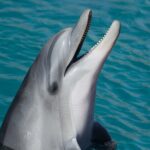 Full-Day Tour in Key West from Miami with Add-on extras - Optional Add-Ons: Snorkeling and Boat Rides