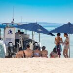 Full-Day Tour Nature Experience at Isla Espiritu Santo! Sea Lions - Starting Point and Tour Logistics in La Paz