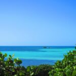 Full-Day Tour of Florida Keys Including Aquarium Encounters from Key West - The Role of the Small-Group Format and Expert Guides