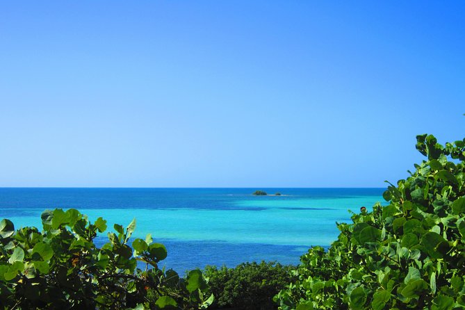 Full-Day Tour of Florida Keys Including Aquarium Encounters from Key West - The Role of the Small-Group Format and Expert Guides