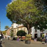 Full Day Tour of Santa Cruz and San Cristóbal de La Laguna - The Scenic Stop at Parque Rural de Anaga