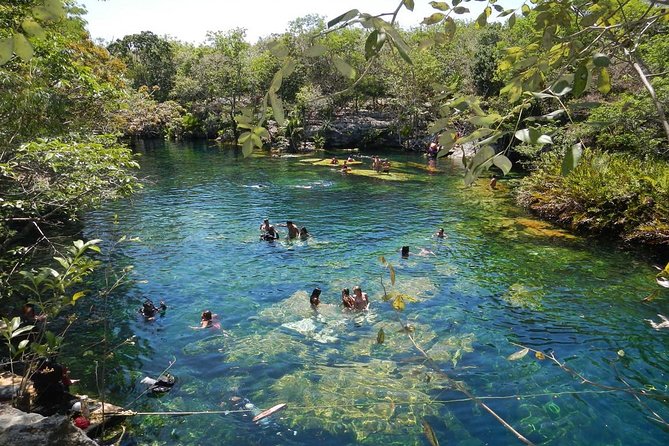 Full day tour to BACALAR, Beach Club, Kayak and an amazing Cenote - Exploring Cenote Azul: A Crystal Clear Natural Wonder