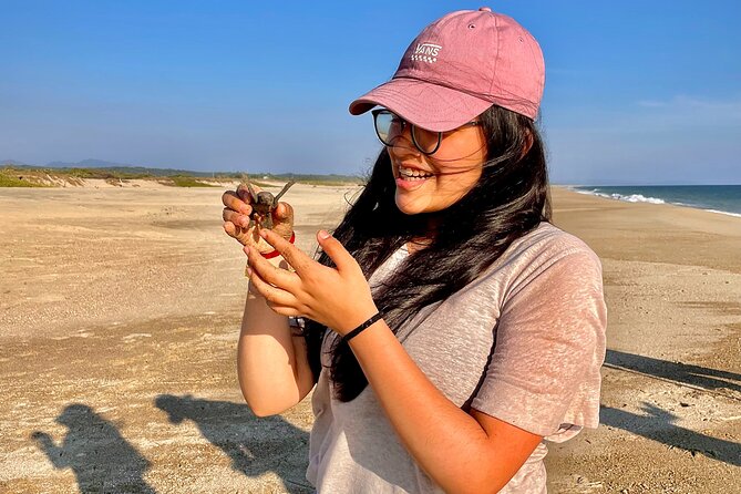 Full Day Tour Turtle Release and Bioluminescence - Visiting the Turtle Sanctuary at Campamento Tortuguero Palmarito