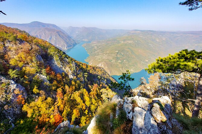 Full Day Trip from Belgrade: The Drina River House And Tara Park Tour - The Iconic Drina River House and Its Story