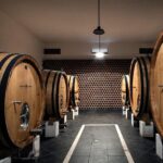 Full-day Trip in Evora, Winery & Cork Factory Private Transport - Starting with the Cork Factory Visit at Corticarte