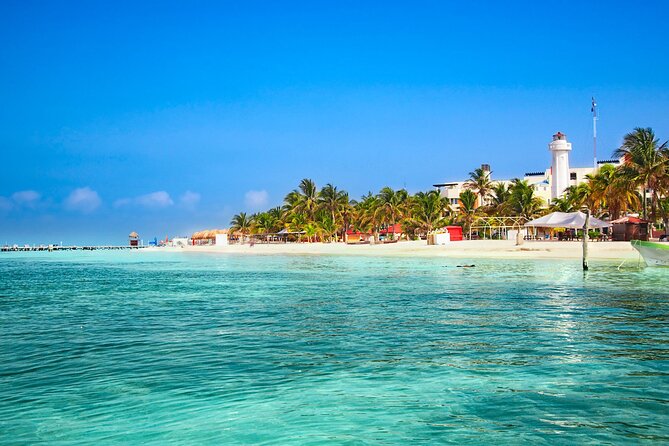 Full-Day Whale Shark Snorkeling Adventure with Beach Lunch - Pickup from Tulum and Transfer to the Marina