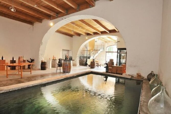 Full-Day Wine Tour around Luberon from Marseille - Departure Point and Group Size: Starting in Marseille’s City Center