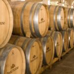 Full Rioja Wine Tour with Lunch from San Sebastian Private Tour - The Gastronomic Highlight: Gourmet Lunch in Haro