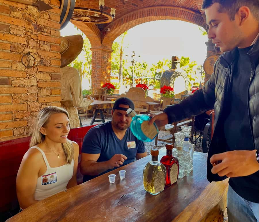 Fully-Private Half-Day Tequila Tour - How the Private Tour Starts in Guadalajara and Heads to Amatitán